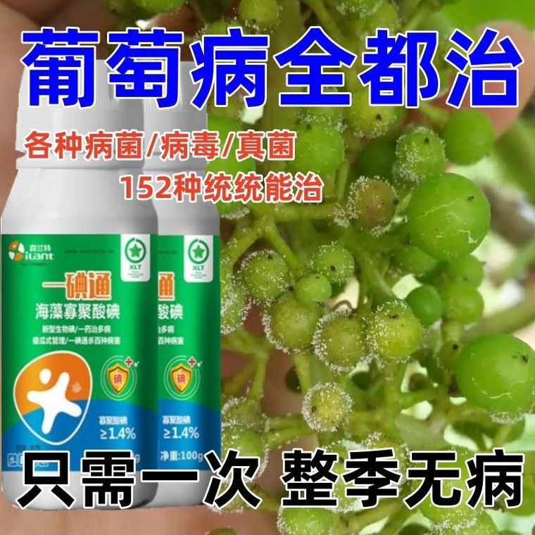 Grape fungicide fungicide grape disease full cure downy mildew ...