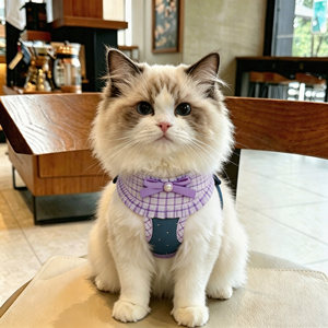 
Special traction rope for cats to prevent break-away when going out, adjustable kitten retractable bow plaid pet supplies