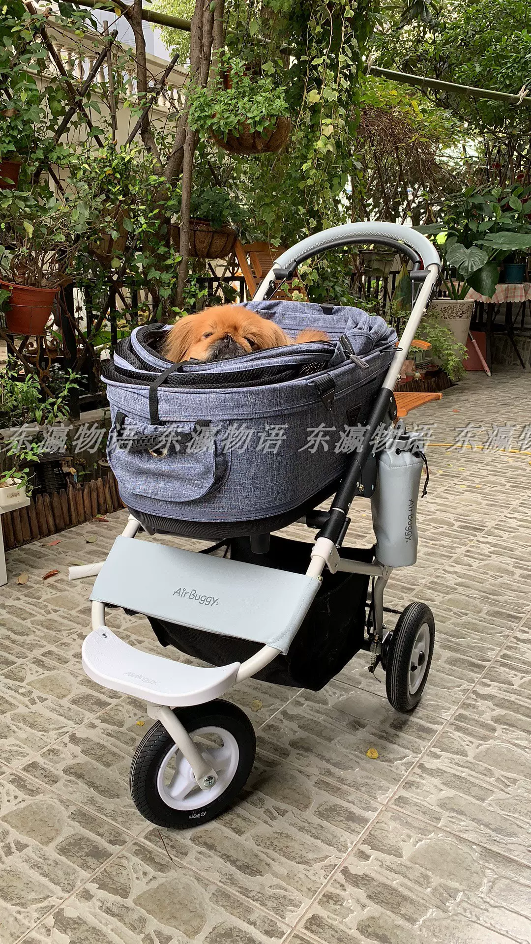 日本代購air buggy for dog dome2 三輪寵物推車限量手煞車版包郵- Taobao