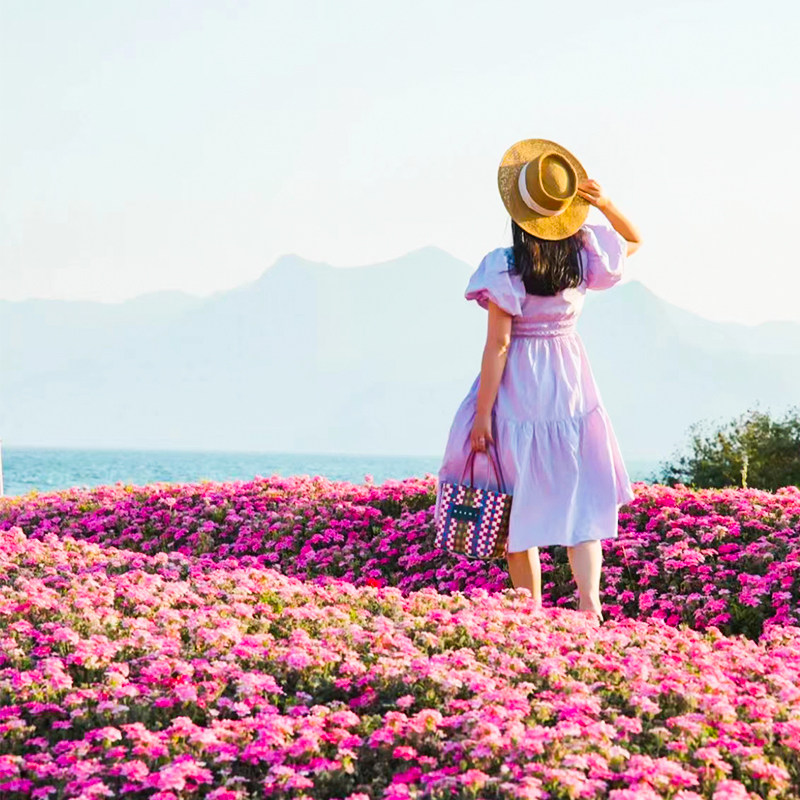 云南旅游 昆明 抚仙湖纯玩一日游 禄充+帆船/游船+粉红沙滩+花海