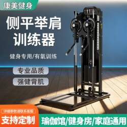 Side Press Trainer, Commercial Shoulder Trainer, Indoor Gym-Specific All-In-One Machine, Multi-Functional Double-Arm Machine