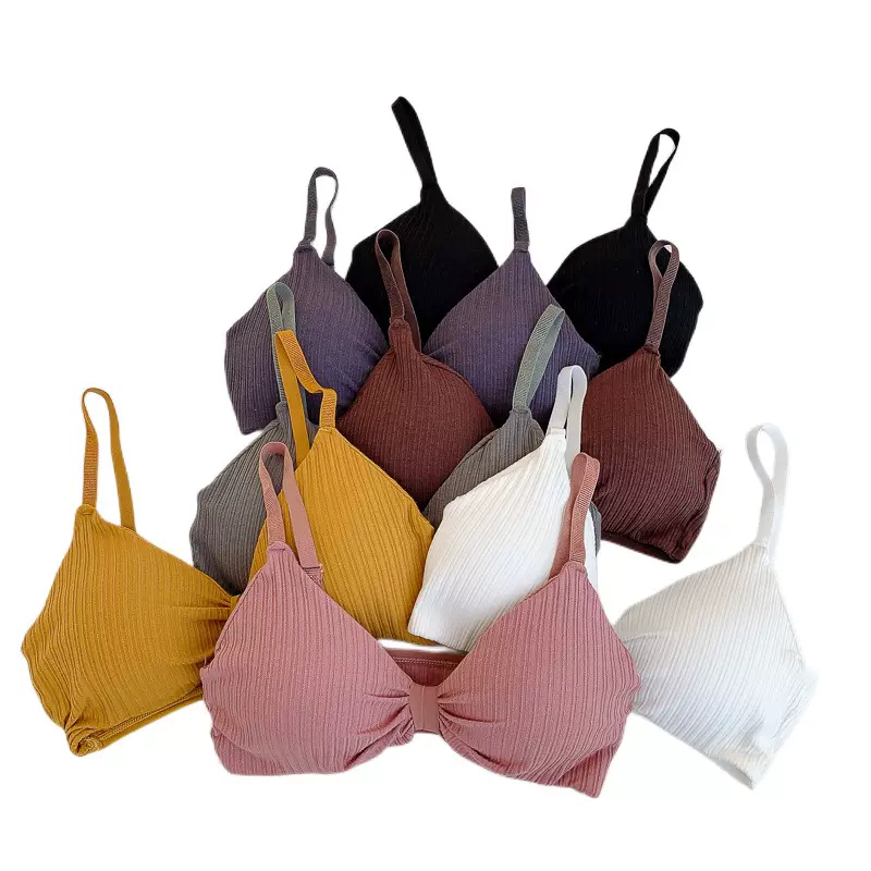 Wire Free Bras for Women Sexy Lingerie Push Up Bra Cotton
