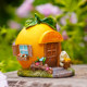 Orange hut creative micro -landscape house garden bonsai decorative desktop ornament to give friends birthday blessing gifts
