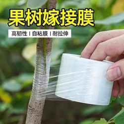 Special Film for Grafting Fruit Trees, Wrapping Film, No Need to Remove, Pe Self-Adhesive Film, Take-Out Packaging, Leak-Proof Sealing, High Viscosity, Stretch-Resistant