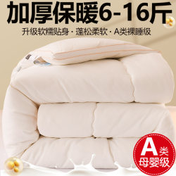 10/12 Jin 8 Winter Quilt Thickened Warm Silk Cotton Quilt Hotel Quilt Core Student Dormitory Winter Double Space Cotton Quilt