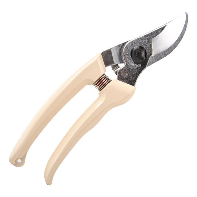 Japan Alice original ARS Alice 130DX pruning shears flower shears fruit