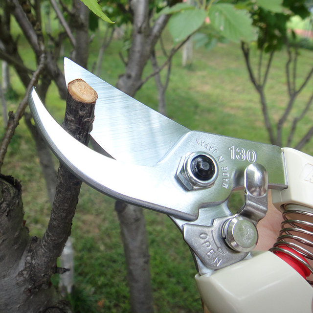 Japan Alice original ARS Alice 130DX pruning shears flower shears fruit