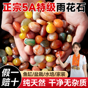 
Nanjing authentic natural Yuhua stone rough stone small pebbles agate pebbles fish tank landscaping colorful stone hydroponic paving