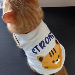 Cat Anti-Shedding Clothing for Summer, British Shorthair, Ragdoll, Golden Gradient Blue Cat, Pet Dog Spring and Autumn Thin Vest