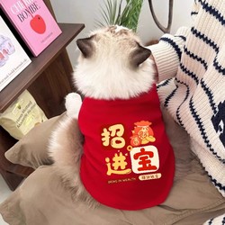 Pet Cat Clothes for Autumn and Winter, Festive New Year Outfits for Ragdoll Cats, British Shorthair Blue Cats, and Kittens, Warm Sweatshirts to Prevent Shedding