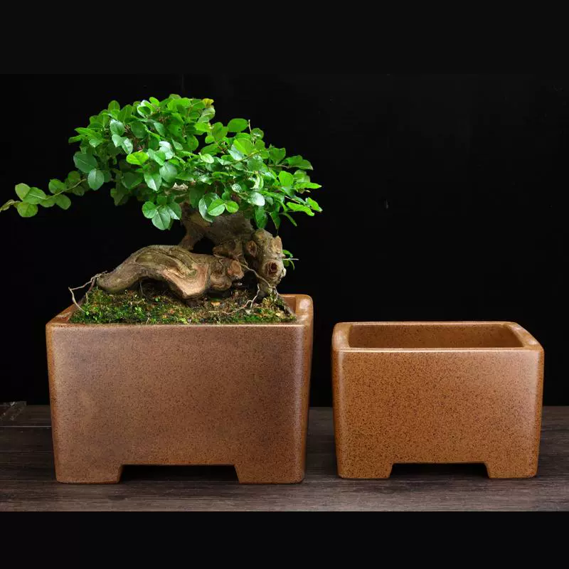 宜兴紫砂花盆小号多肉菖蒲桌面绿植盆景文竹老桩