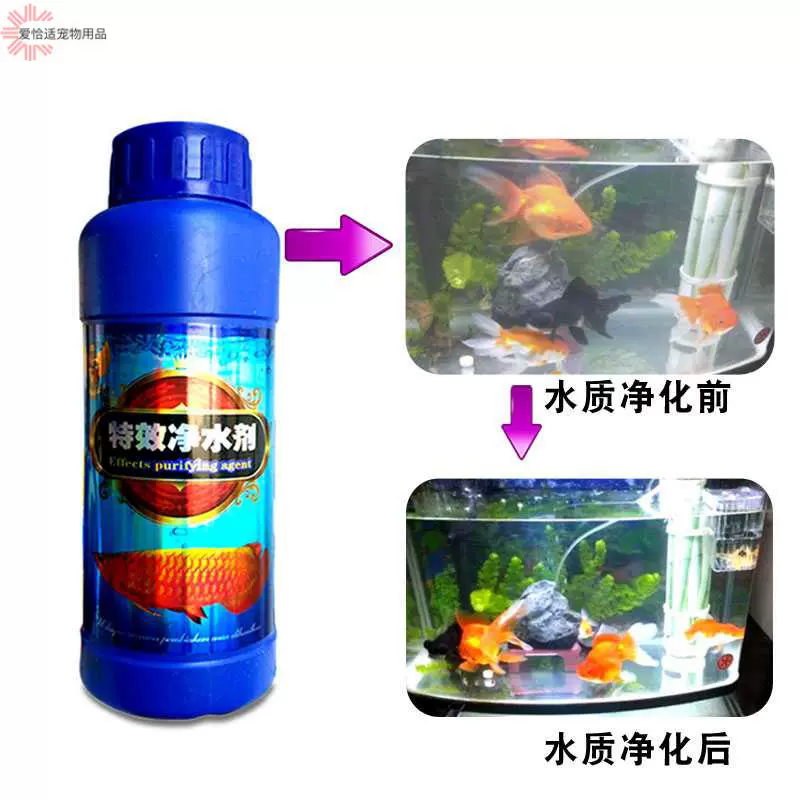 魚缸淨水劑硝化細菌水族金魚藥水質穩定劑消化細菌硝化菌