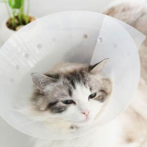 
Meadhoo cat Elizabeth circle kitten transparent waterproof ear mites sterilized deworming anti-licking and biting pet supplies