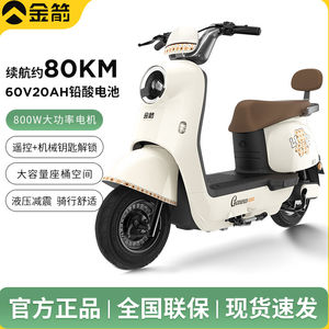 Golden Arrow Electric Car Lingke DQ Little Turtle King New Long-Endurance Battery Car Small Lightweight Transportation Electric Motorcycle