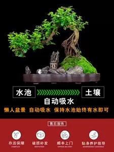 山水石盆景造型- Top 100件山水石盆景造型- 2024年5月更新- Taobao