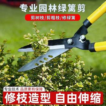 Gardening large scissors Garden flowers, flowers, trees, pruning, lawn, hedge shears, powerful pruning branches, lawn shears