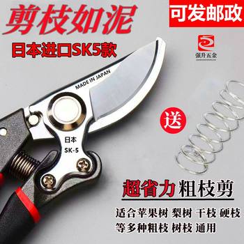 Original Japanese SK5 large scissors, large size, powerful pruning, expensive scissors, tree and gardening scissors