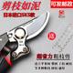 Original Japanese SK5 large scissors, large size, powerful pruning, expensive scissors, tree and gardening scissors