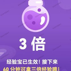 Duolingo, Boosting Experience, Ranking List, Tournament, Check-In, Winning Streak, Experience Points, Duolingo