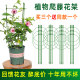Climbing flower stand gardening pillar stand balcony pothos rose clematis vine climbing crab claw orchid support rod