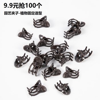 Phalaenopsis -shaped flower climbing vine plant fixed bracket
