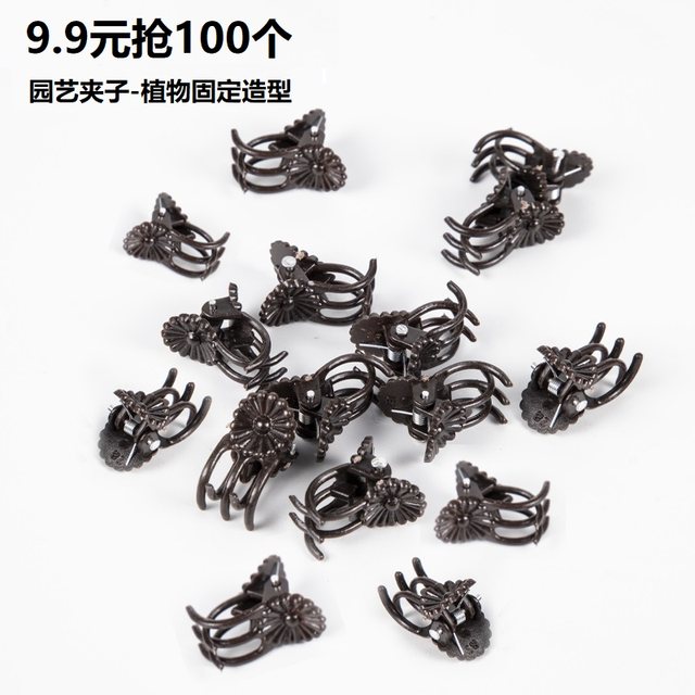 Phalaenopsis bracket support rod shape shelf gardening flower branch clip vine climbing plant fixed clip