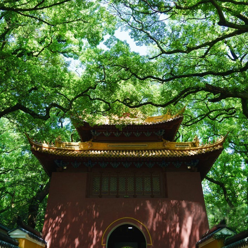 舟山至普陀山+佛顶山+洛迦山2天1晚跟团游【一价全含】3正餐自理