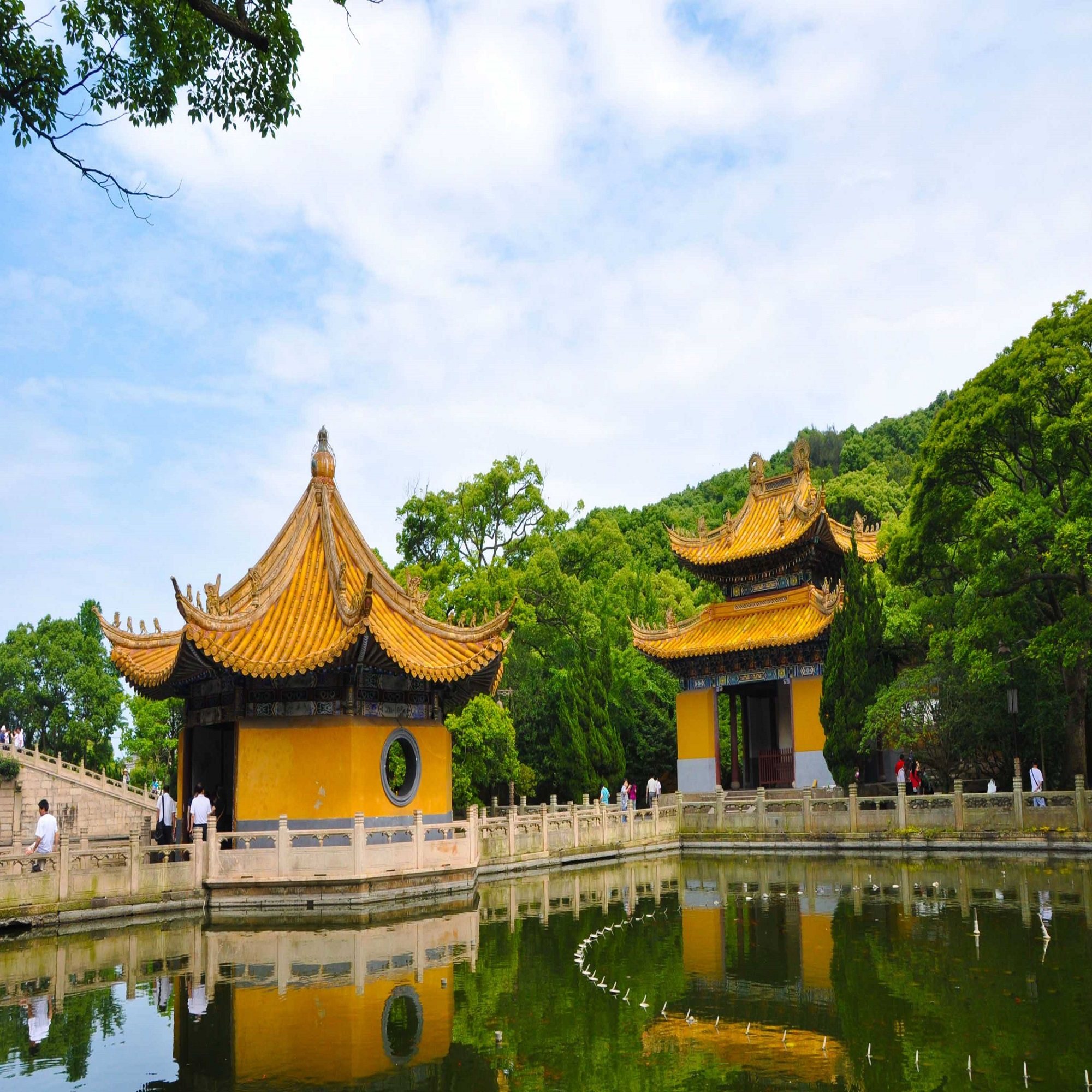 普陀山一日游·25人精品小团·【含大门票+往返船票+导游讲解】