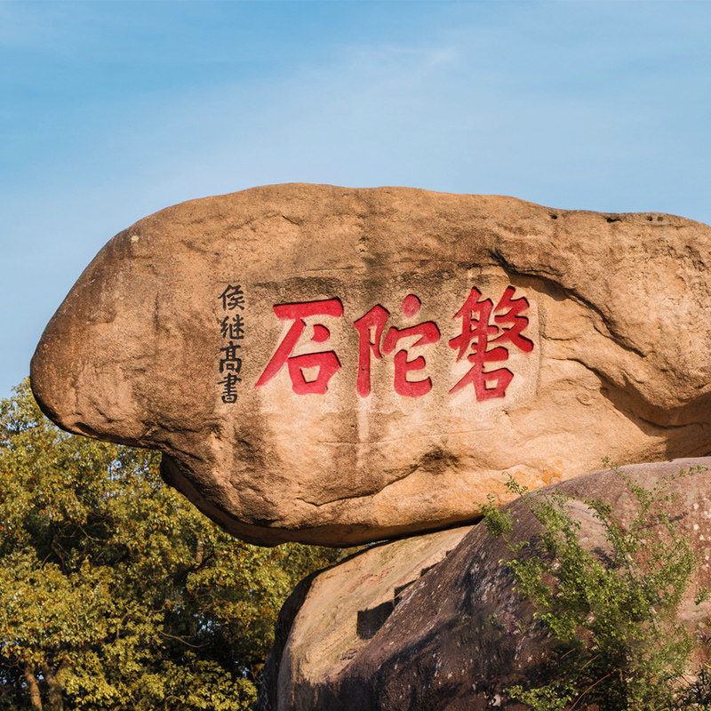 【单订导游】地陪讲解·一单一团·普陀山1天专业导游服务