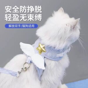Angel wings Cat led a rope vest traction with dog kitten to go out to pull out of pet supplies

