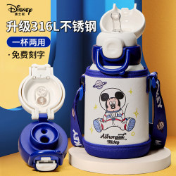 Disney Kidsren's Thermos Cup with Straw, Water Cup for Boys and Girls Going to School, 316 Stainless Steel Primary School Student Water Kettle