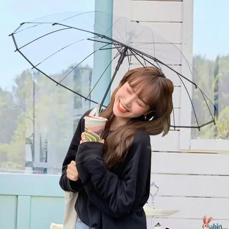 透明伞高颜值长柄雨伞女家用拍照可爱高级感