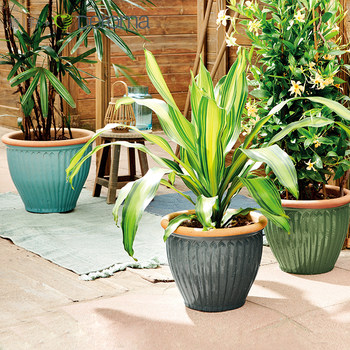 Imperial Roman glazed clay basin tropical style series