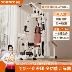 Single-Station Comprehensive Training Fitness Equipment, High Pull-Down Multifunctional All-In-One Home Indoor Strength Training Device