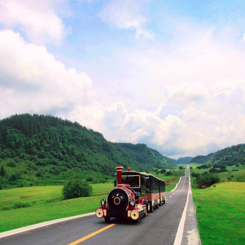 重庆武隆仙女山天坑地缝天生三桥天坑三桥2-8小团一日游纯玩0购物