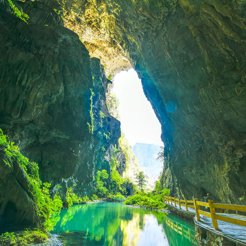 广西+巴马+崇左+4天3晚跟团游+0购物+德天瀑布/通灵大峡谷/百鸟岩