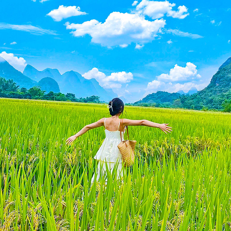 广西桂林+南宁+北海纯玩10天9晚+漓江阳朔/龙脊/德天/巴马/涠洲岛