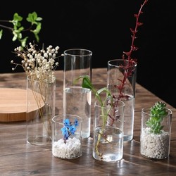 Minimalist Ultra-Thin High Borosilicate Glass Hydroponic Vase Small Fish Tank Tea Cup Water Cup Green Tea Cup Universal Cup Decoration