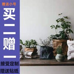 Washable Kraft Paper Bag Flower Pot Cover ins Style Home Storage Bag Refrigerator Vegetable Organizer Green Plant Succulent Flower Pot Bag