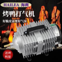 Haili Inflatable Pump for Duck, Fish, Roast Duck, Goose, Barbecue Duck and Goose, Commercial Oxygen Injection Machine