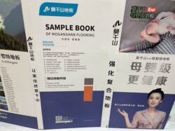 Moganshan 11mm Laminate Flooring, the Soaring Series Enf, Environmentally Friendly, Wear-Resistant, Waterproof, Suitable for Home Use in Bedrooms