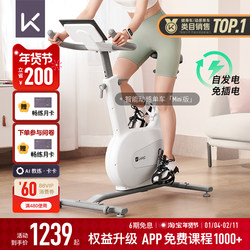 Keep Spinning Bike Mini/Home Fitness Equipment for Weight Loss, Silent Indoor Exercise, Small Fitness Bike