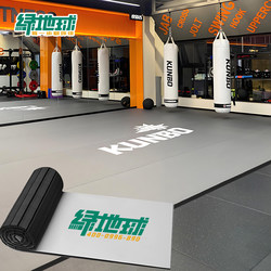 Taekwondo Mat, Fighting Roll Mat, Seamless Xpe Jiu-Jitsu Wrestling Fitness Martial Arts Boxing Gym Somersault Floor Mat