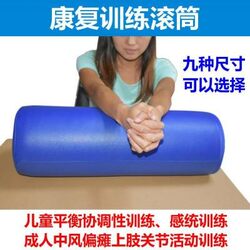 Rehabilitation Training Roller for Children, Sensory Integration Balance, Elderly, Hemiplegia, Stroke, Adult Upper Limb Arm Exercise Equipment Roller
