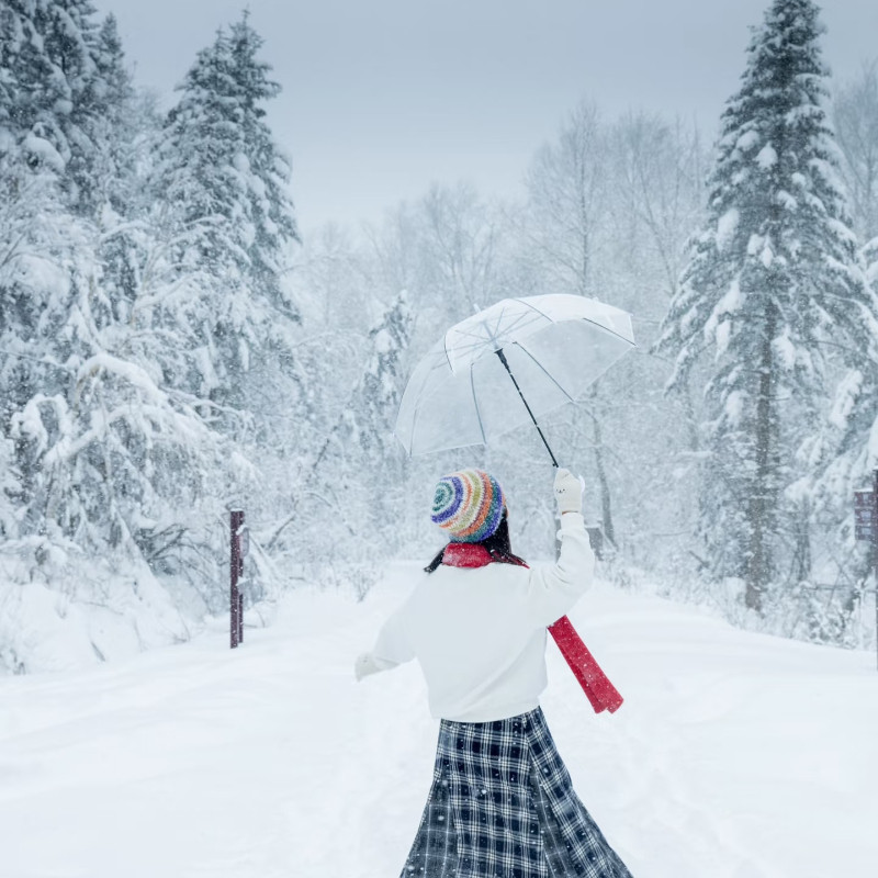 中国雪乡东北哈尔滨8人团亚布力滑雪索菲亚教堂雪乡6天5晚跟团游