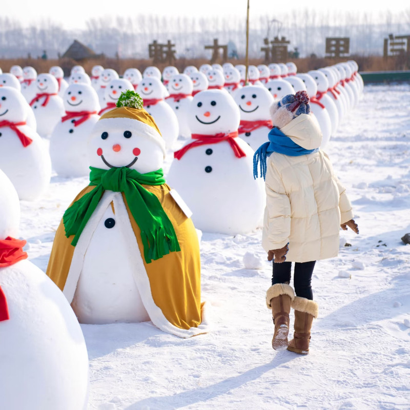 中国雪乡东北哈尔滨8人团亚布力滑雪索菲亚教堂雪乡6天5晚跟团游