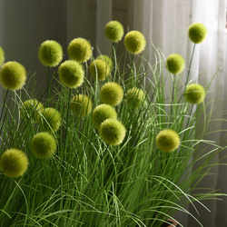 Artificial Green Plants, Reed Grass, Dog Tail Grass, Fake Flower Plant Combination, Flower Box, Flower Arrangement, Partition, Indoor Landscaping Decoration