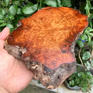 影子木树瘤- Top 50件影子木树瘤- 2025年3月更新- Taobao