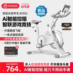 Yesoul Dynamic Exercise Bike for Home Use, Magnetic Control Smart Fitness Bike, Indoor Weight Loss Equipment, Silent A1