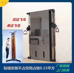 Wall-Mounted Small Bird Flight Stand, Single-Sided Wall-Mounted Comprehensive Training Device, Mirror Bird Fitness Home Ribbed Wooden Frame